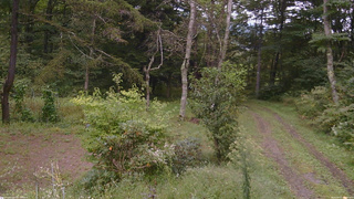 長野県菅平高原 ゆたか山荘 坂上 2026/09/17 15:00