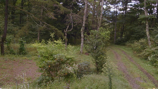 長野県菅平高原 ゆたか山荘 坂上 2026/09/17 15:15