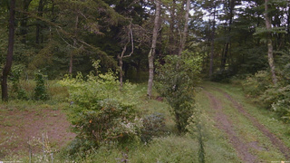 長野県菅平高原 ゆたか山荘 坂上 2026/09/17 15:30