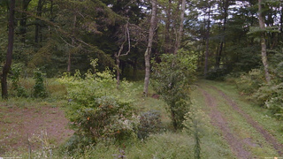 長野県菅平高原 ゆたか山荘 坂上 2026/09/17 15:45