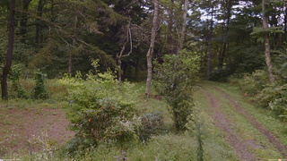 長野県菅平高原 ゆたか山荘 坂上 2026/09/17 16:00