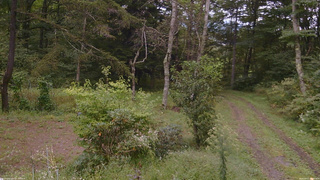 長野県菅平高原 ゆたか山荘 坂上 2026/09/17 16:30