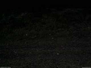 長野県菅平高原 ゆたか山荘 東側(坂下) 2026/09/18 05:15