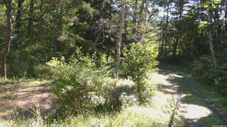 長野県菅平高原 ゆたか山荘 坂上 2026/09/18 09:30