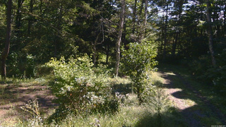 長野県菅平高原 ゆたか山荘 坂上 2026/09/18 09:45