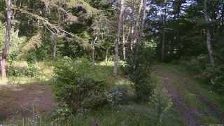 長野県菅平高原 ゆたか山荘 坂上 2026/09/18 13:30
