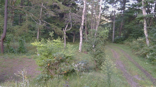 長野県菅平高原 ゆたか山荘 坂上 2026/09/18 17:00