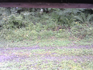 長野県菅平高原 ゆたか山荘 東側(坂下) 2026/09/19 11:30