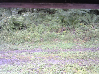 長野県菅平高原 ゆたか山荘 東側(坂下) 2026/09/19 11:45