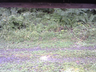 長野県菅平高原 ゆたか山荘 東側(坂下) 2026/09/19 12:45