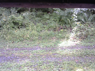 長野県菅平高原 ゆたか山荘 東側(坂下) 2026/09/19 13:15