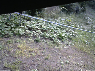 長野県菅平高原 ゆたか山荘 駐車場 2026/09/19 07:45