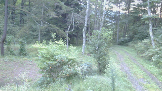 長野県菅平高原 ゆたか山荘 坂上 2026/09/19 05:45