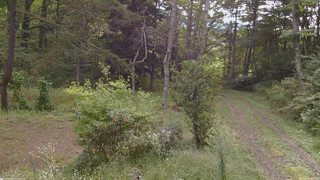 長野県菅平高原 ゆたか山荘 坂上 2026/09/19 08:15