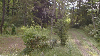 長野県菅平高原 ゆたか山荘 坂上 2026/09/19 08:30