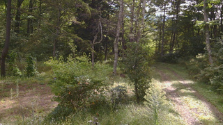 長野県菅平高原 ゆたか山荘 坂上 2026/09/19 08:45