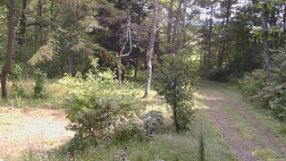 長野県菅平高原 ゆたか山荘 坂上 2026/09/19 10:45