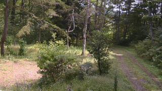 長野県菅平高原 ゆたか山荘 坂上 2026/09/19 11:00