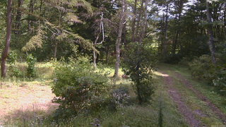 長野県菅平高原 ゆたか山荘 坂上 2026/09/19 11:15