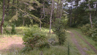 長野県菅平高原 ゆたか山荘 坂上 2026/09/19 11:30