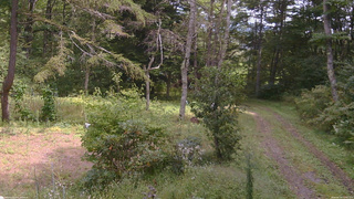 長野県菅平高原 ゆたか山荘 坂上 2026/09/19 11:45