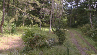長野県菅平高原 ゆたか山荘 坂上 2026/09/19 12:15