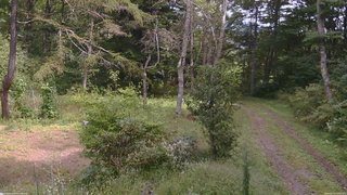 長野県菅平高原 ゆたか山荘 坂上 2026/09/19 12:30