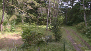 長野県菅平高原 ゆたか山荘 坂上 2026/09/19 12:45