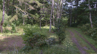 長野県菅平高原 ゆたか山荘 坂上 2026/09/19 13:15