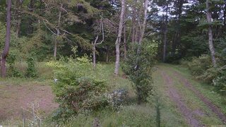 長野県菅平高原 ゆたか山荘 坂上 2026/09/19 13:30
