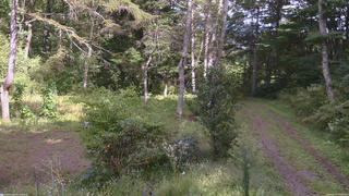 長野県菅平高原 ゆたか山荘 坂上 2026/09/19 13:45