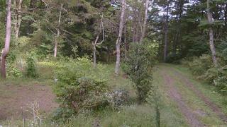 長野県菅平高原 ゆたか山荘 坂上 2026/09/19 14:30