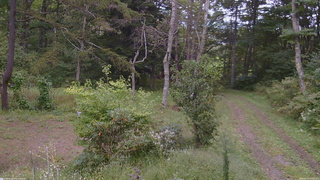 長野県菅平高原 ゆたか山荘 坂上 2026/09/19 15:00