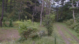 長野県菅平高原 ゆたか山荘 坂上 2026/09/19 15:30