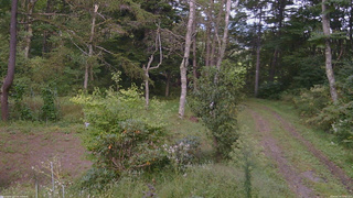 長野県菅平高原 ゆたか山荘 坂上 2026/09/19 15:45