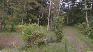 長野県菅平高原 ゆたか山荘 坂上 2026/09/19 16:00