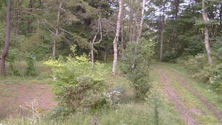長野県菅平高原 ゆたか山荘 坂上 2026/09/19 16:15