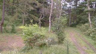 長野県菅平高原 ゆたか山荘 坂上 2026/09/19 16:45