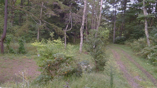 長野県菅平高原 ゆたか山荘 坂上 2026/09/19 17:00