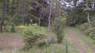 長野県菅平高原 ゆたか山荘 坂上 2026/09/19 17:15