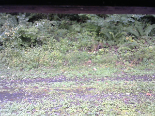 長野県菅平高原 ゆたか山荘 東側(坂下) 2026/09/20 08:45