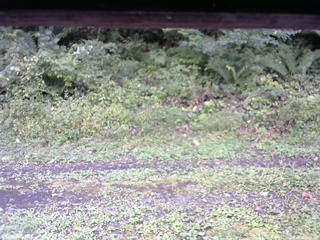 長野県菅平高原 ゆたか山荘 東側(坂下) 2026/09/20 09:15