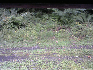 長野県菅平高原 ゆたか山荘 東側(坂下) 2026/09/20 10:30