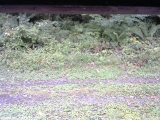 長野県菅平高原 ゆたか山荘 東側(坂下) 2026/09/20 15:00