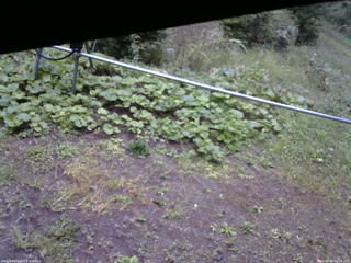 長野県菅平高原 ゆたか山荘 駐車場 2026/09/20 06:15