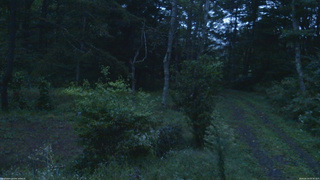 長野県菅平高原 ゆたか山荘 坂上 2026/09/20 05:30