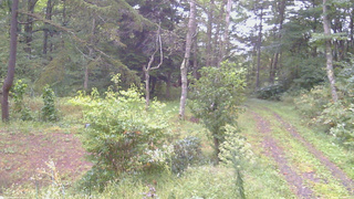 長野県菅平高原 ゆたか山荘 坂上 2026/09/20 06:00