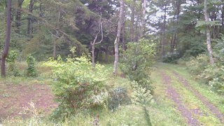長野県菅平高原 ゆたか山荘 坂上 2026/09/20 06:15