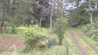 長野県菅平高原 ゆたか山荘 坂上 2026/09/20 06:30