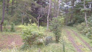 長野県菅平高原 ゆたか山荘 坂上 2026/09/20 08:15